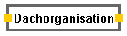 Dachorganisation