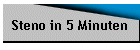 Steno in 5 Minuten
